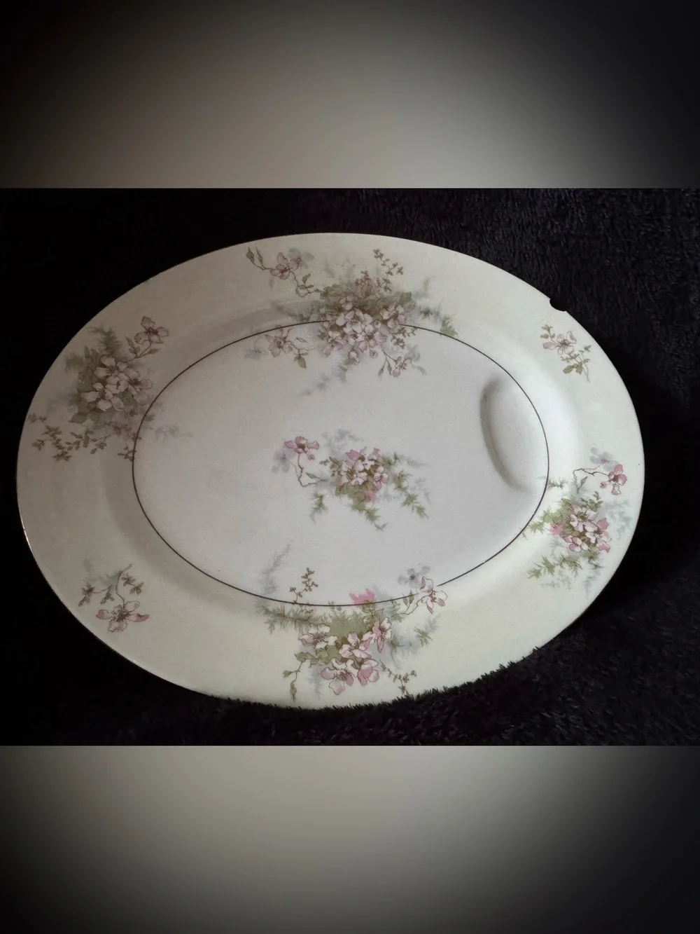 Theodore Haviland New York Apple Blossom 11